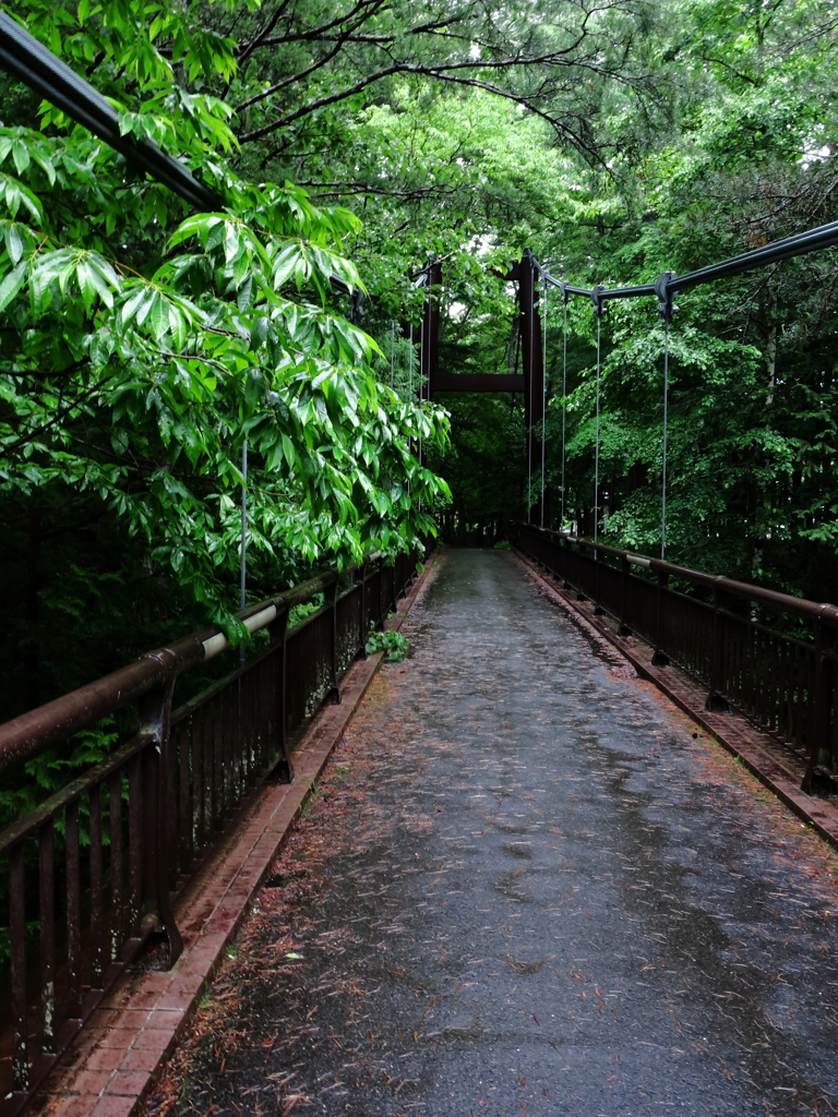 天楽堂つり橋