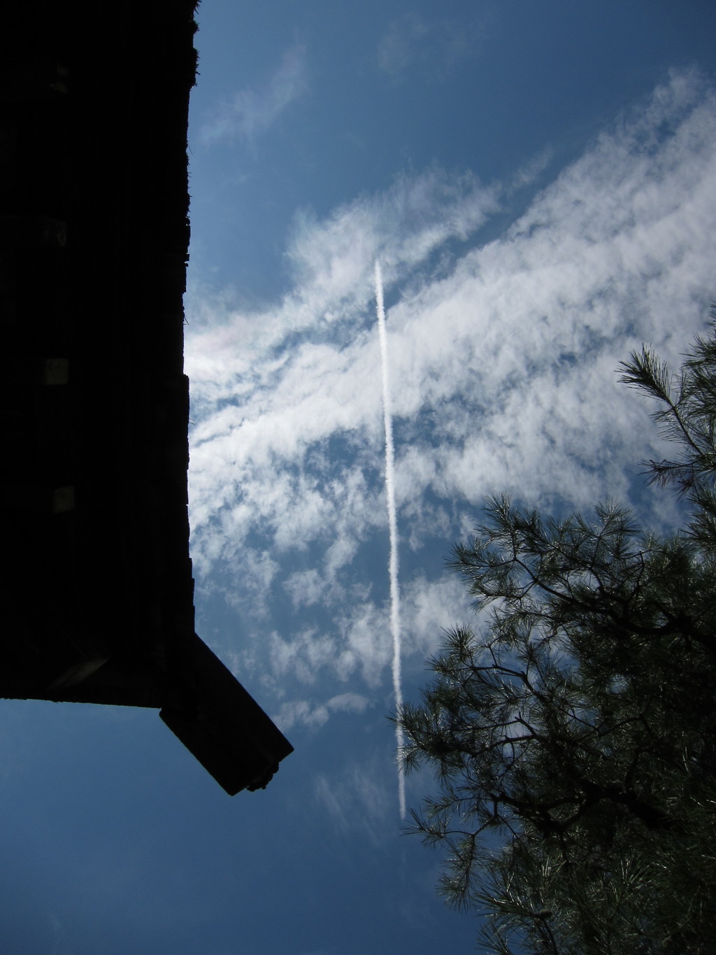 ひこうき雲見っけ。