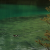 青沼（五色沼）