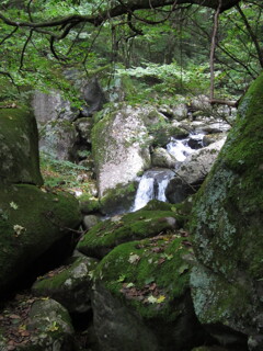 岩がごろごろ