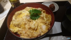 名古屋コーチンの親子丼