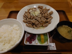 塩ホルモン焼き定食