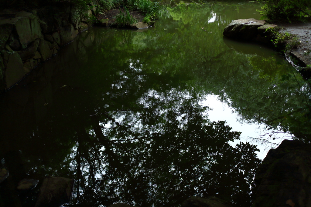 石垣のある公園の池