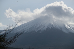 雄大な富士山