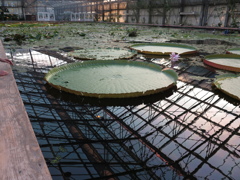 掛川花鳥園にて