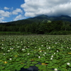 いもり池と妙高山