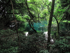 丸池様