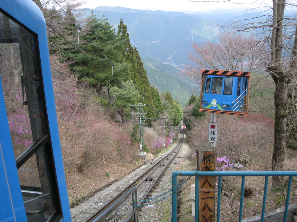 身だしなみチェック中