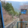 身だしなみチェック中