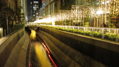 渋谷のイルミ。