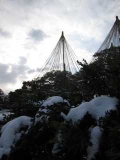 兼六園の雪吊。