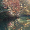 秋色の菖蒲池