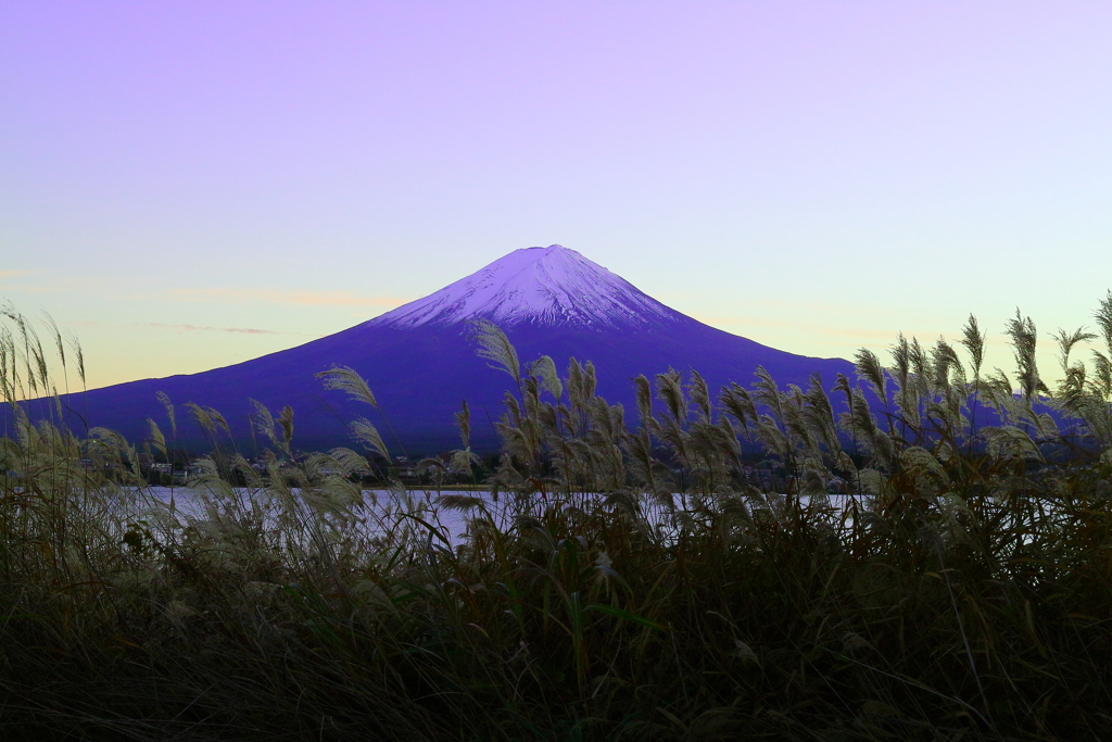 ススキと富士山