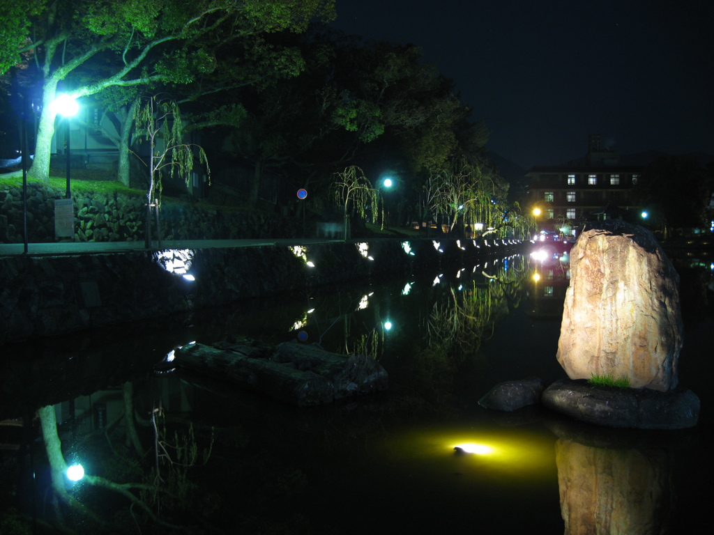 夜の猿沢池
