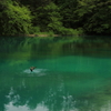 青沼（五色沼）