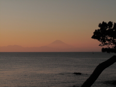夕富士