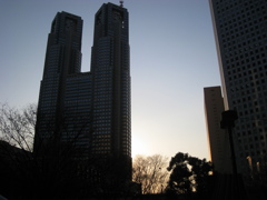 頑張れ、東京都