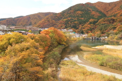 尾瀬大橋からの眺め