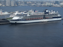 Celebrity Millennium