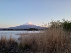 河口湖からの富士山