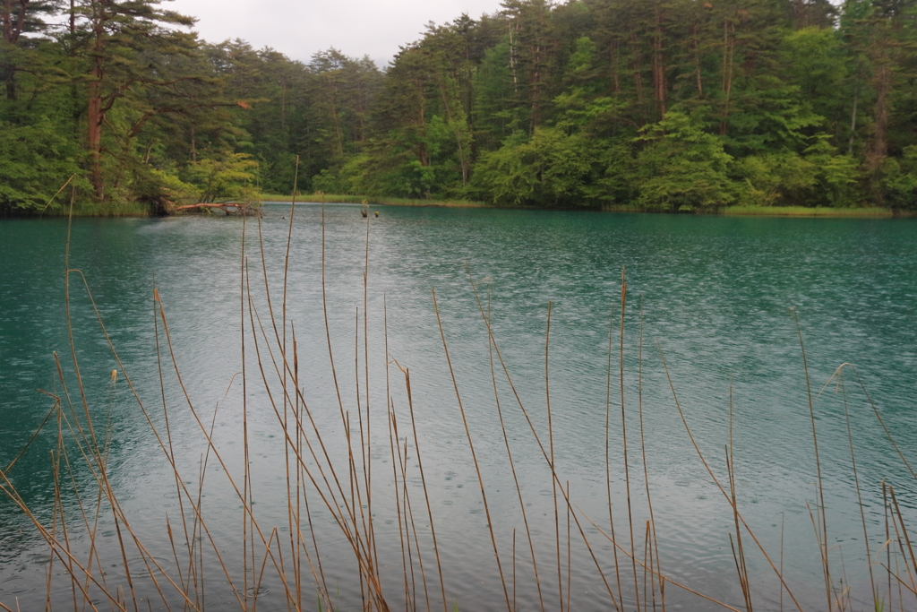 毘沙門沼（五色沼）