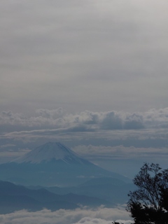 見晴らし平からの富士山