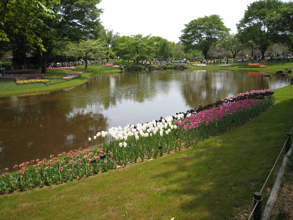 国営昭和記念公園にて****