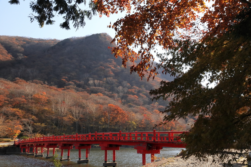 啄木鳥橋と紅葉