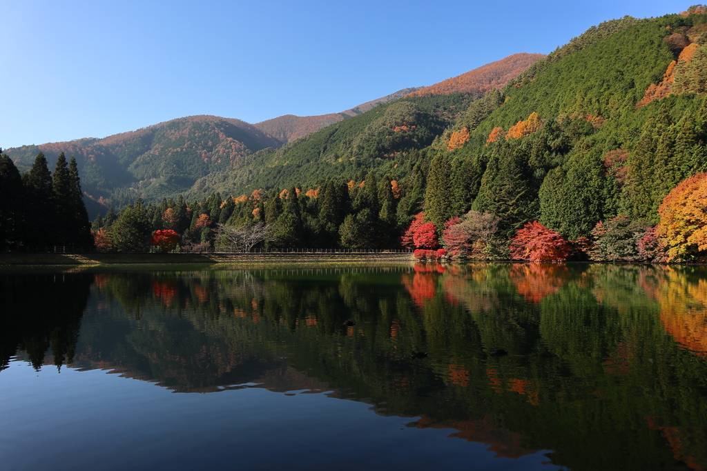 秋色に染まる南伊奈ヶ湖