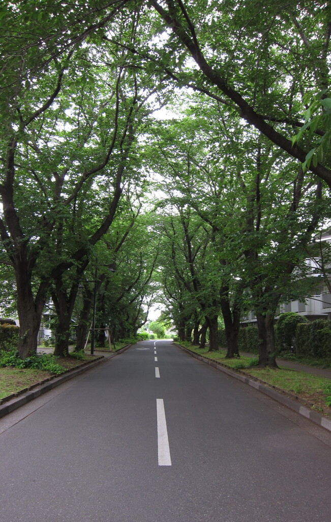 道