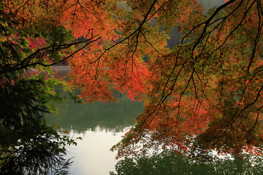 紅葉と湖