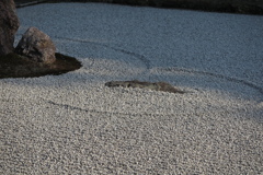 石庭