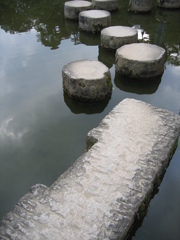 平安神宮の池にて