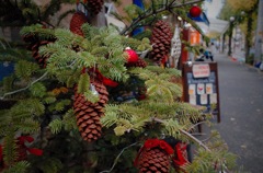 クリスマスが今年もやってくる