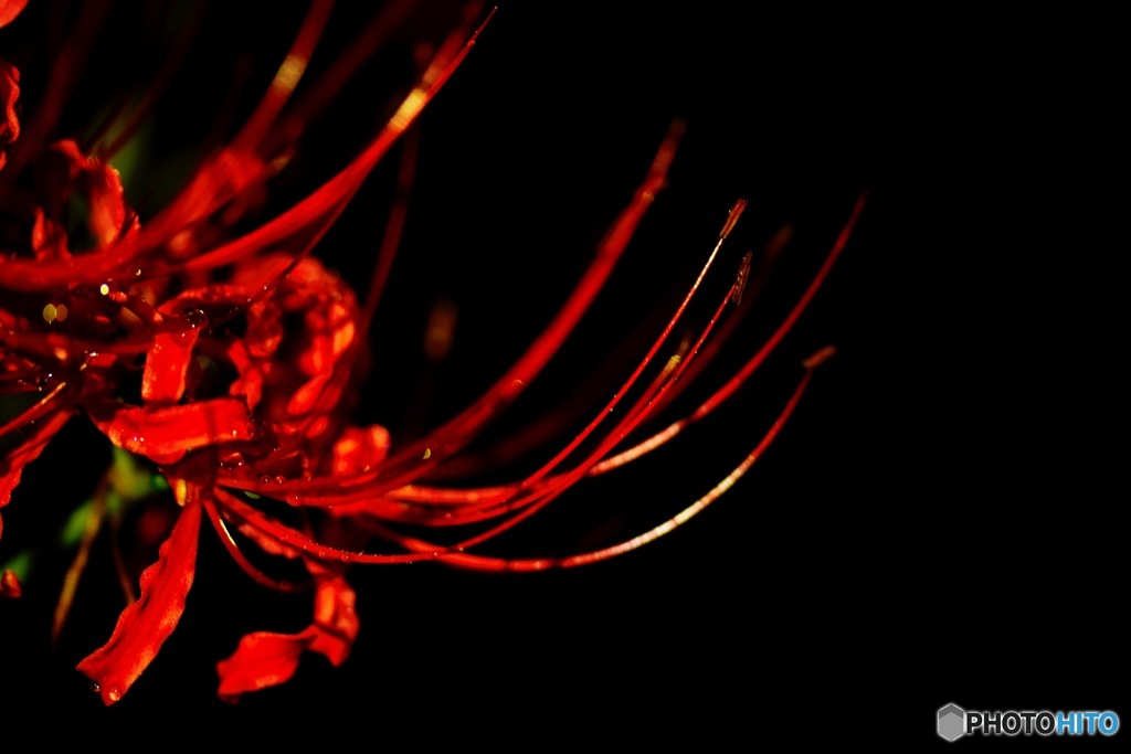 Fire in the dark
