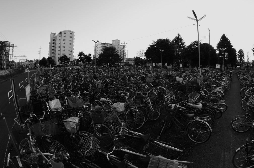 seven steps to heaven 〜自転車墓場〜
