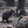 そろそろ起きて遊ぼうよ〜
