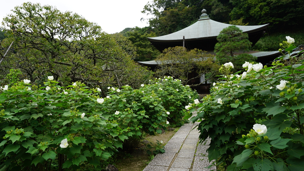 九月の瑞泉寺