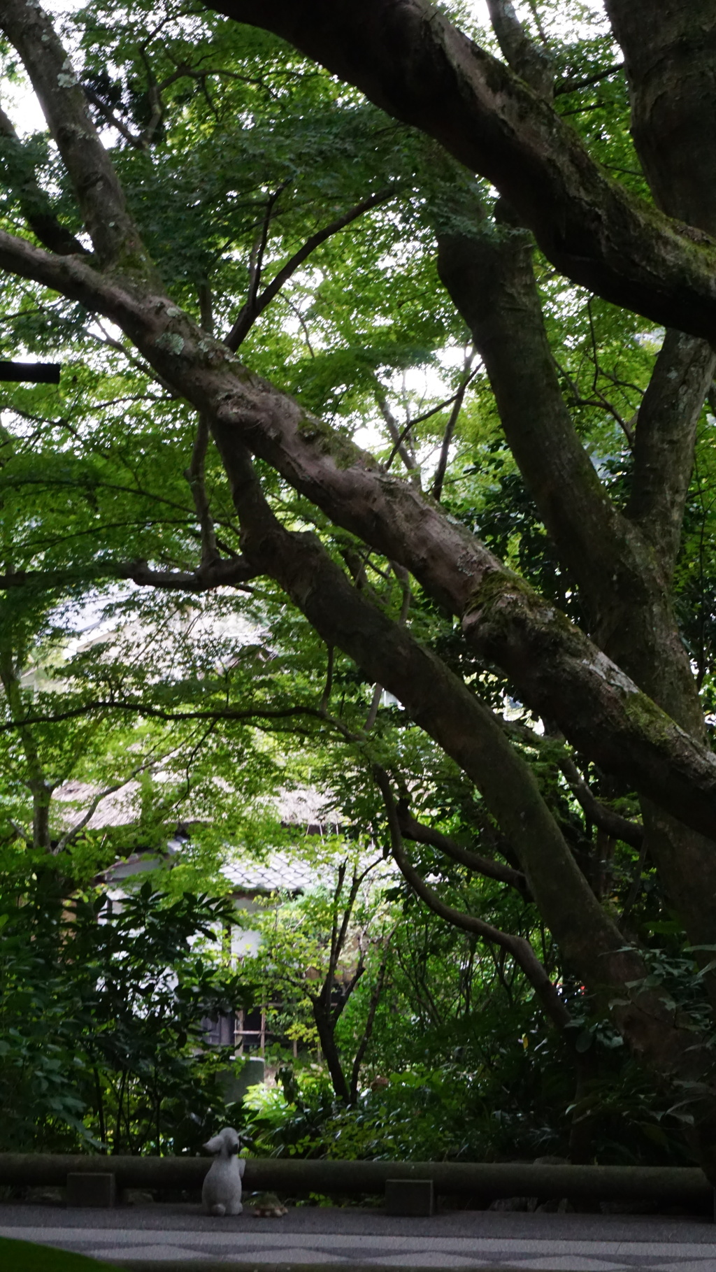 彼方を見て、何を考えてるの？