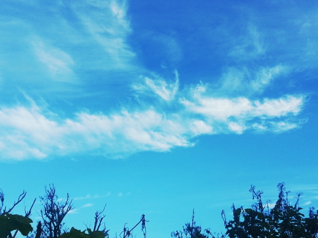 雲　ー 龍 ー