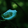 菌  ー 器 ー