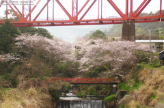 春　ー 桜のある風景 ー