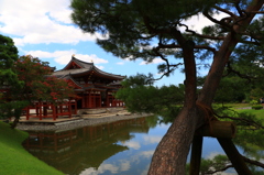 青空との相性