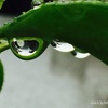 とざされた世界