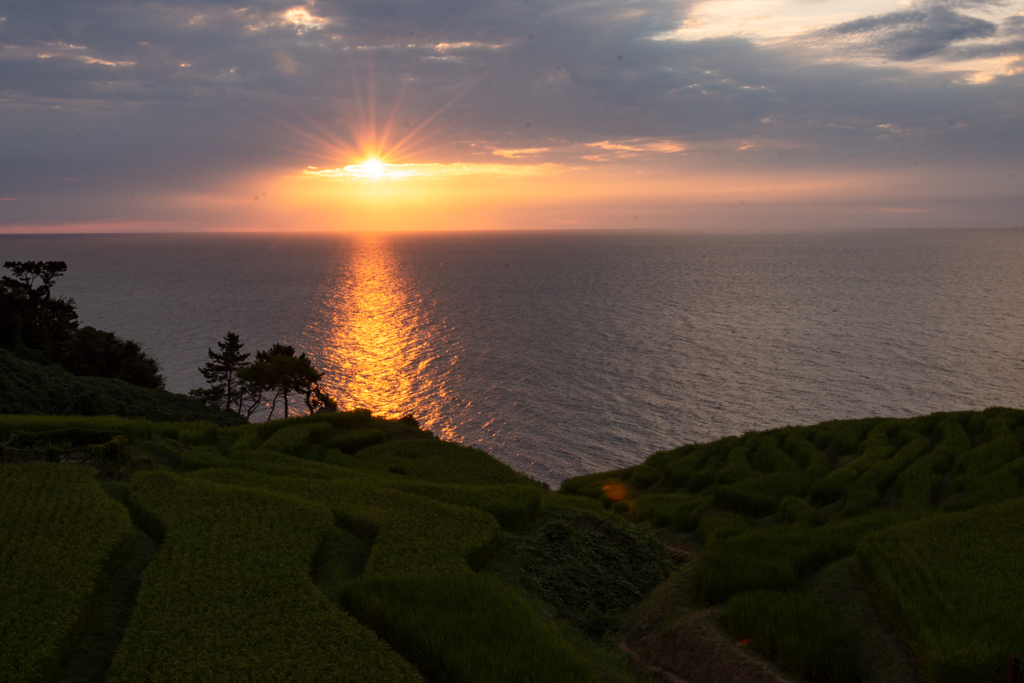 夕陽に染まる白米千枚田（能登半島）