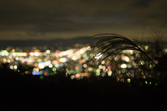 若草山夜景