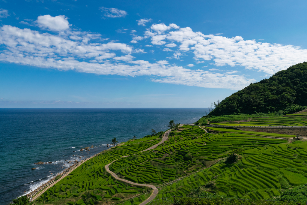 空と雲と白米千枚田（能登半島）