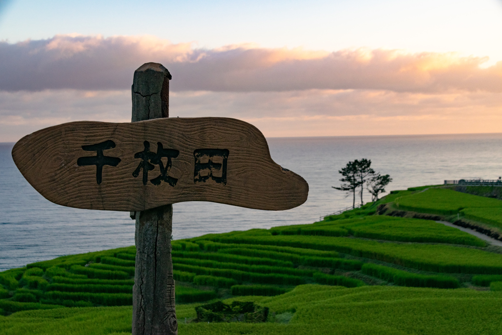 日の出前の白米千枚田（能登半島）