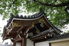 fullsizeoutput_8658