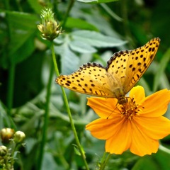 DSC00070